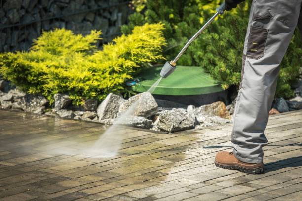 Best Boat and Dock Cleaning  in Mcgraw, NY