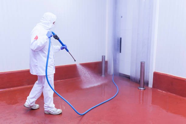 Best Winterizing Services  in Mcgraw, NY